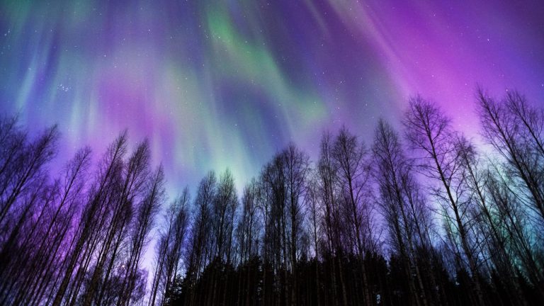 Auroras boreales en CanadÁ